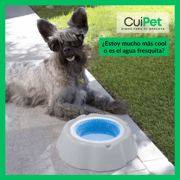 BEBEDERO REFRIGERADO. ¡AGUA FRESQUITA EN LOS DÍAS MÁS CALUROSOS!