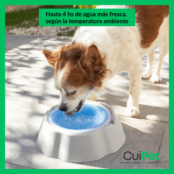 BEBEDERO REFRIGERADO. ¡AGUA FRESQUITA EN LOS DÍAS MÁS CALUROSOS!