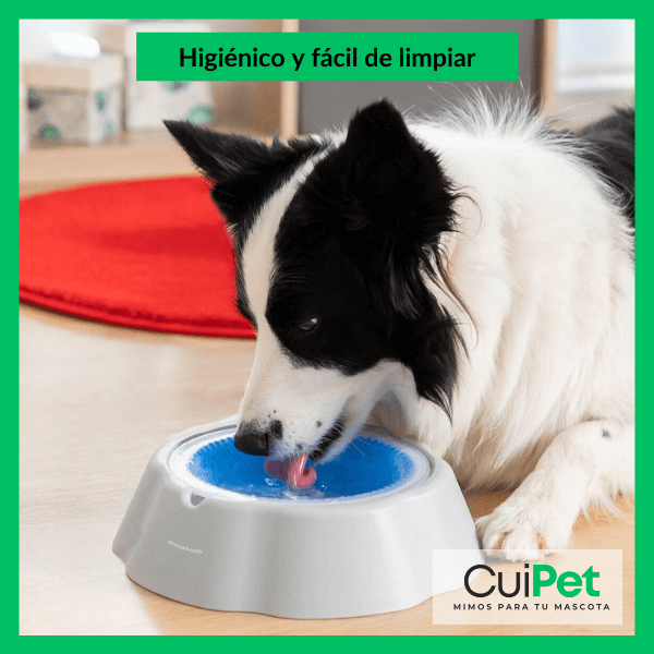 BEBEDERO REFRIGERADO. ¡AGUA FRESQUITA EN LOS DÍAS MÁS CALUROSOS!