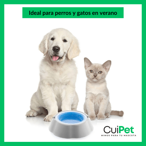 BEBEDERO REFRIGERADO. ¡AGUA FRESQUITA EN LOS DÍAS MÁS CALUROSOS!