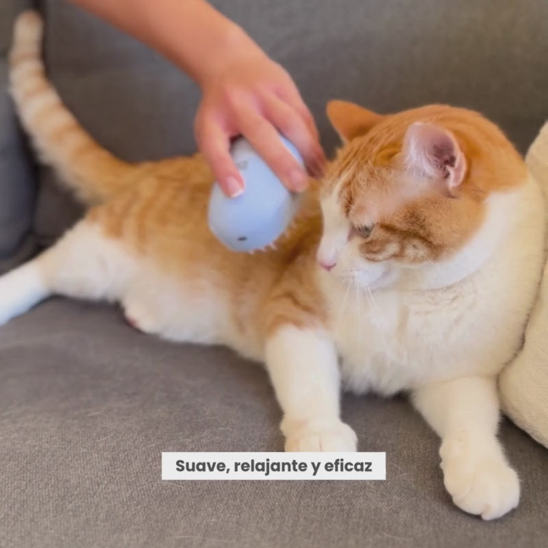 PACK 3 CEPILLOS - ¡BASTA DE PELOS POR TODAS PARTES!