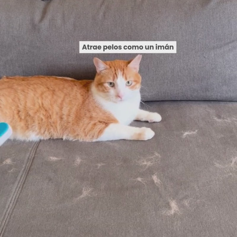 PACK 3 CEPILLOS - ¡BASTA DE PELOS POR TODAS PARTES!